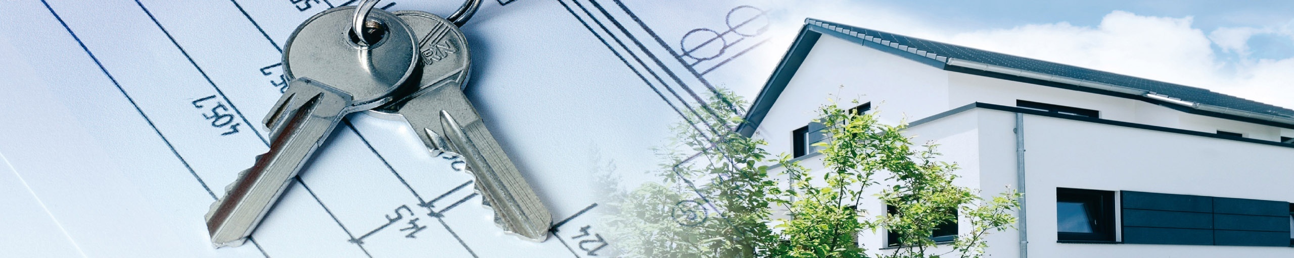 Marcel Scholz Marcel Scholz